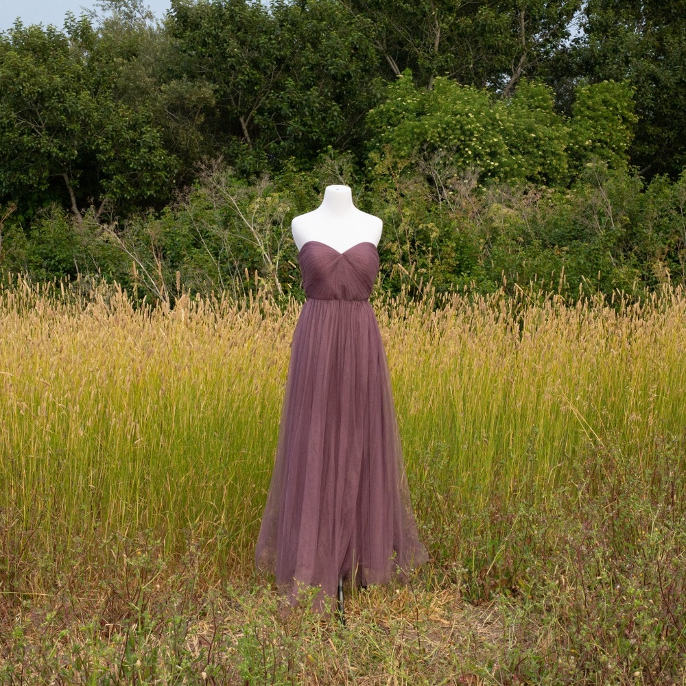 Jenny Yoo Mauve/Amethyst Strapless Maxi